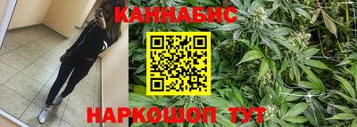mdpv Севастополь