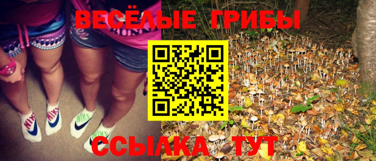 Псилоцибиновые грибы Cubensis  Псилоцибиновые грибы GOLDEN TEACHER  Ростов-на-Дону  Вход с VPN 