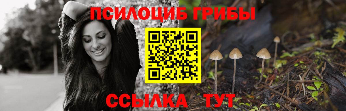 Псилоцибиновые грибы Psilocybe Ростов-на-Дону